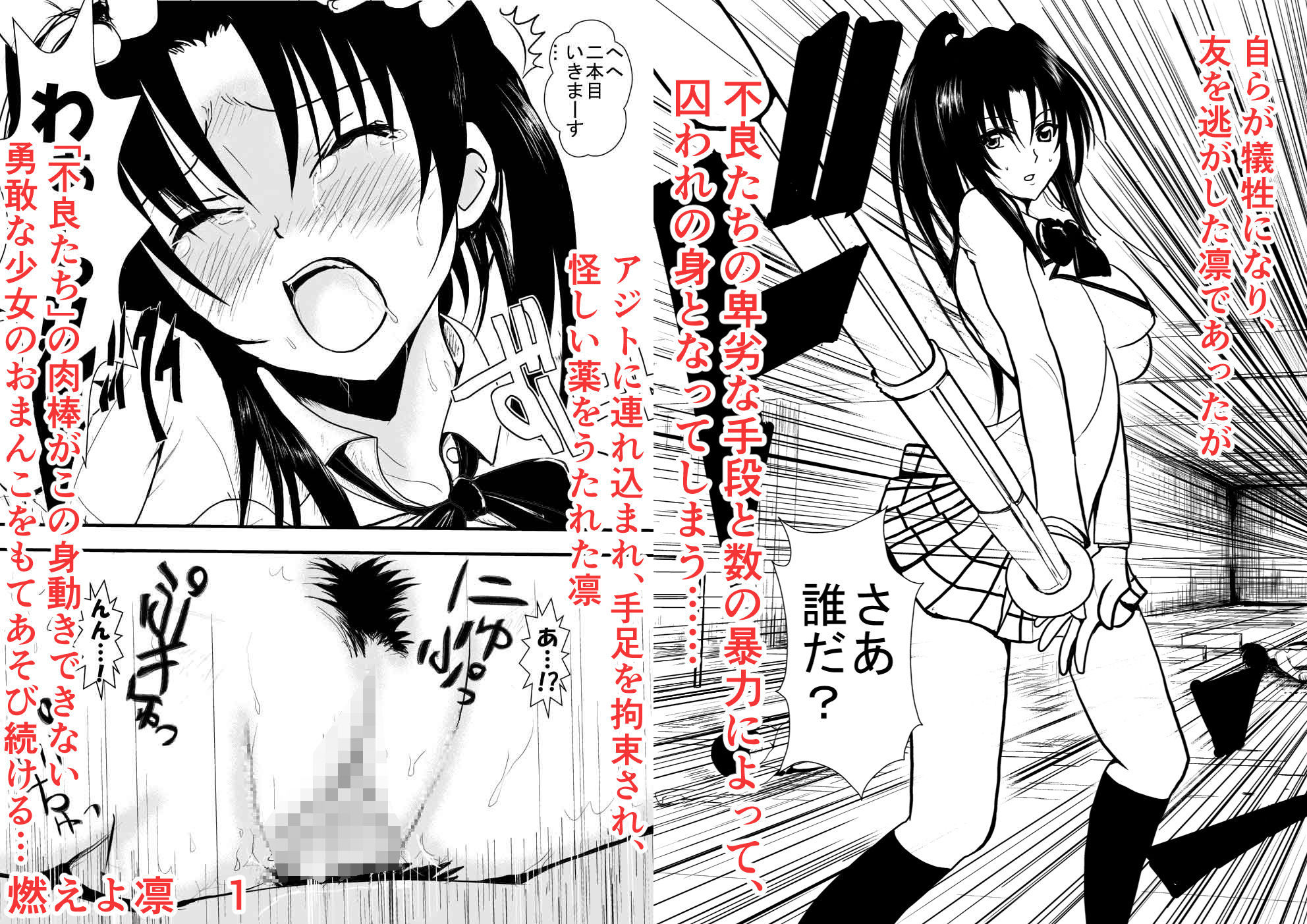 燃えよ凛 総集編 制服版特別豪華バージョン 画像 3