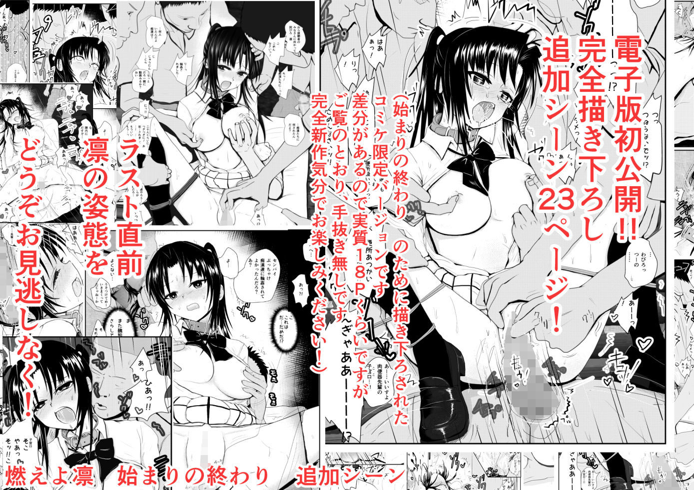 燃えよ凛 総集編 制服版特別豪華バージョン 画像 10