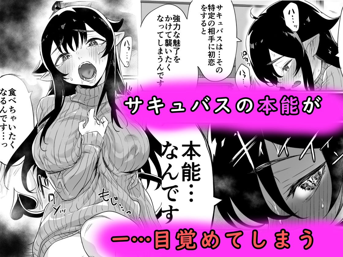 就活失敗したサキュバスさんを拾いました 画像 3