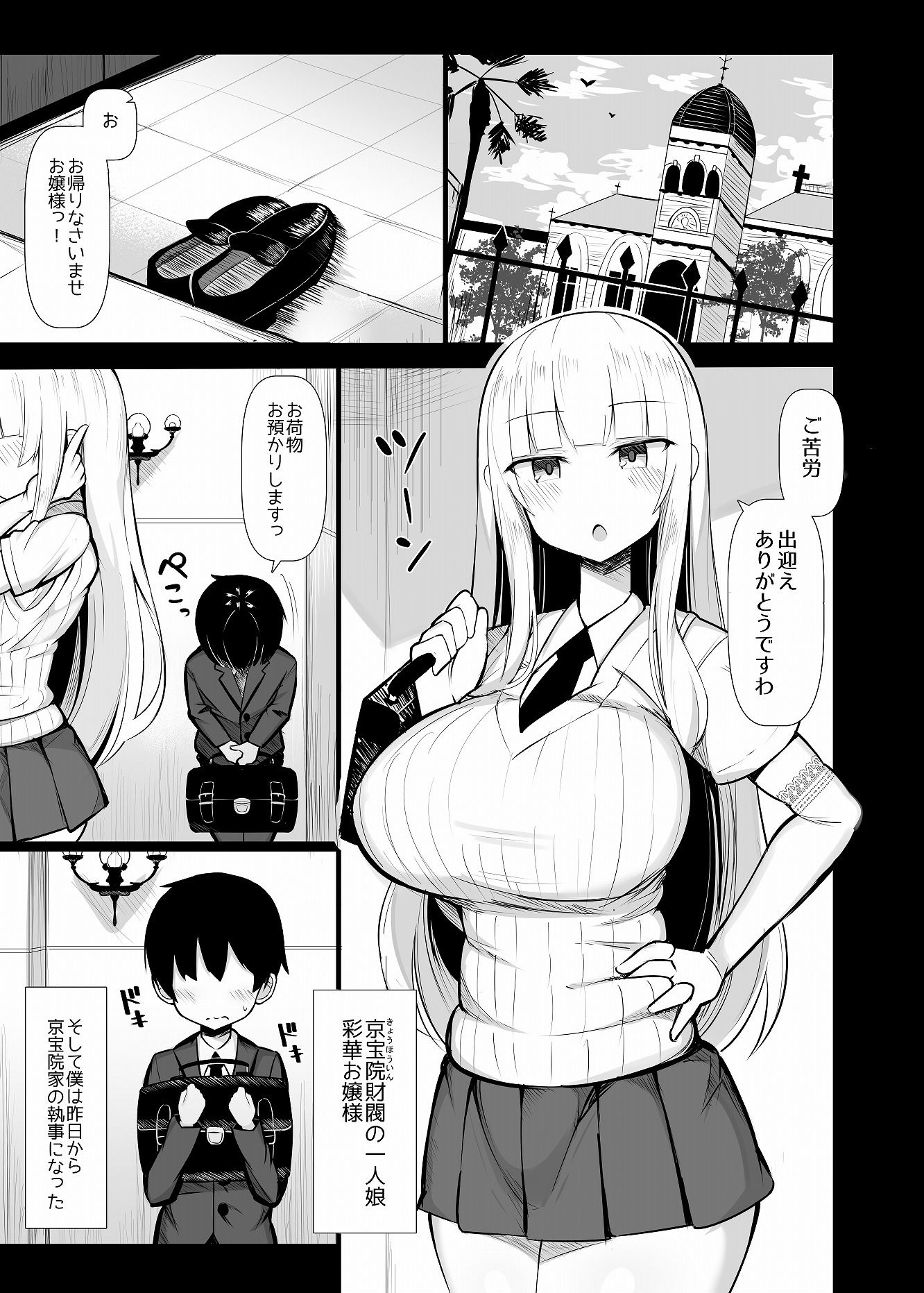 お嬢様に買われたボク 画像 1