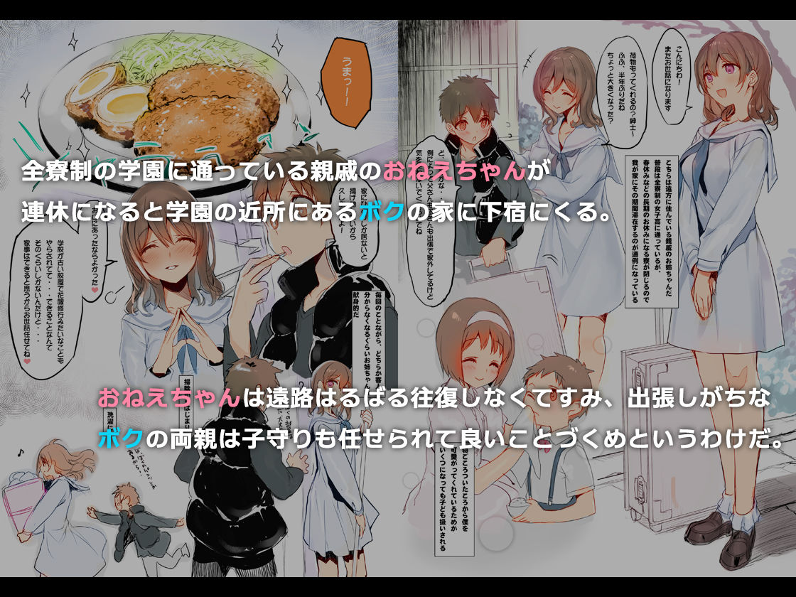 オスになった僕とメスになったおねえちゃん 画像 1