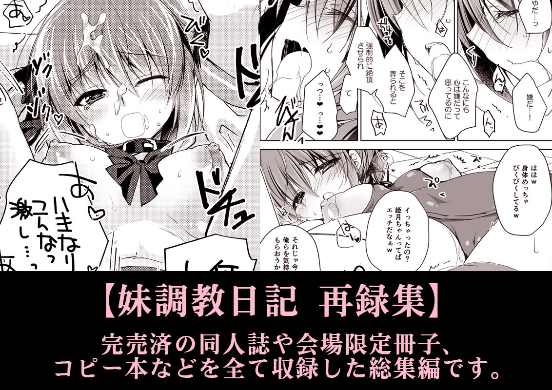 妹調教日記再録集【総集編】 画像 8