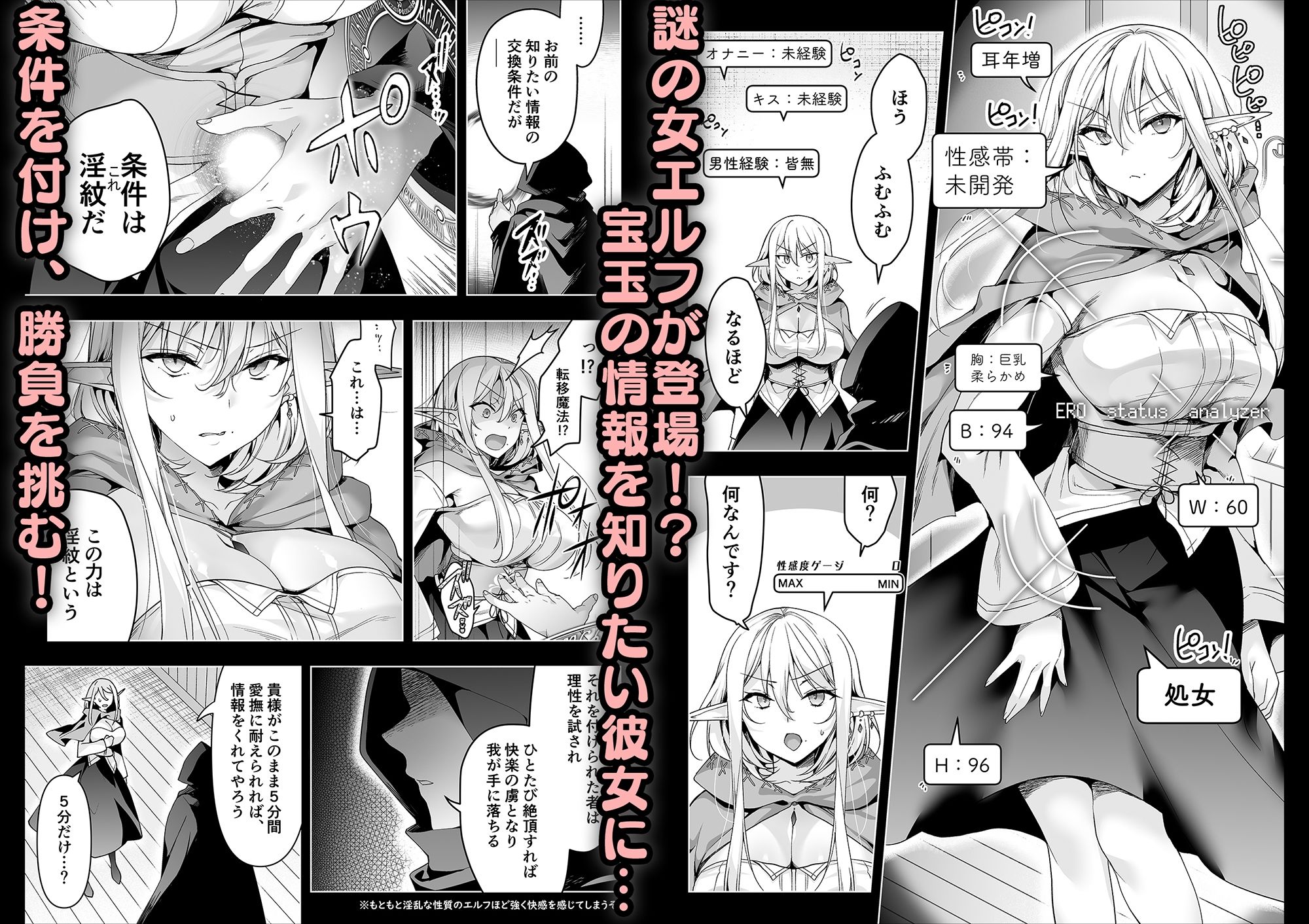 エルフに淫紋を付ける本 LEVEL:6 画像 5