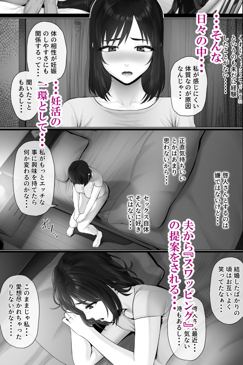 レべチなスワッピング2 画像 3