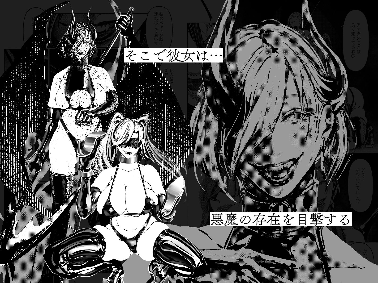 悪魔の調教 画像 2