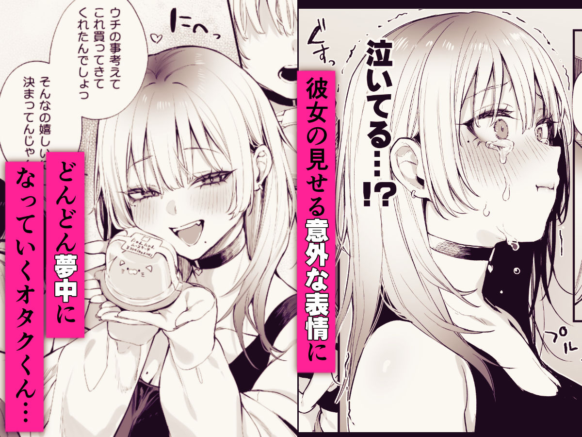 一晩泊めてよ、オタクくん 画像 5