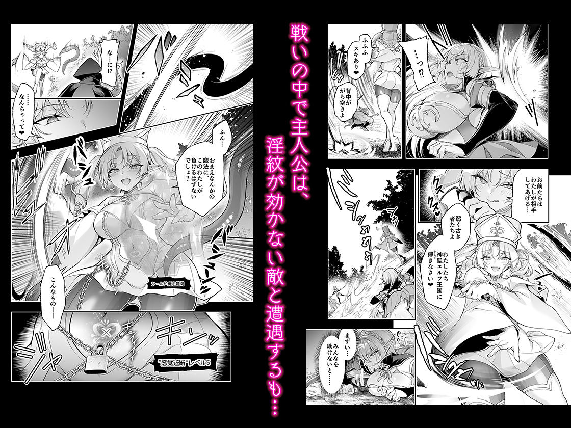 エルフに淫紋を付ける本 LEVEL:9 画像 3