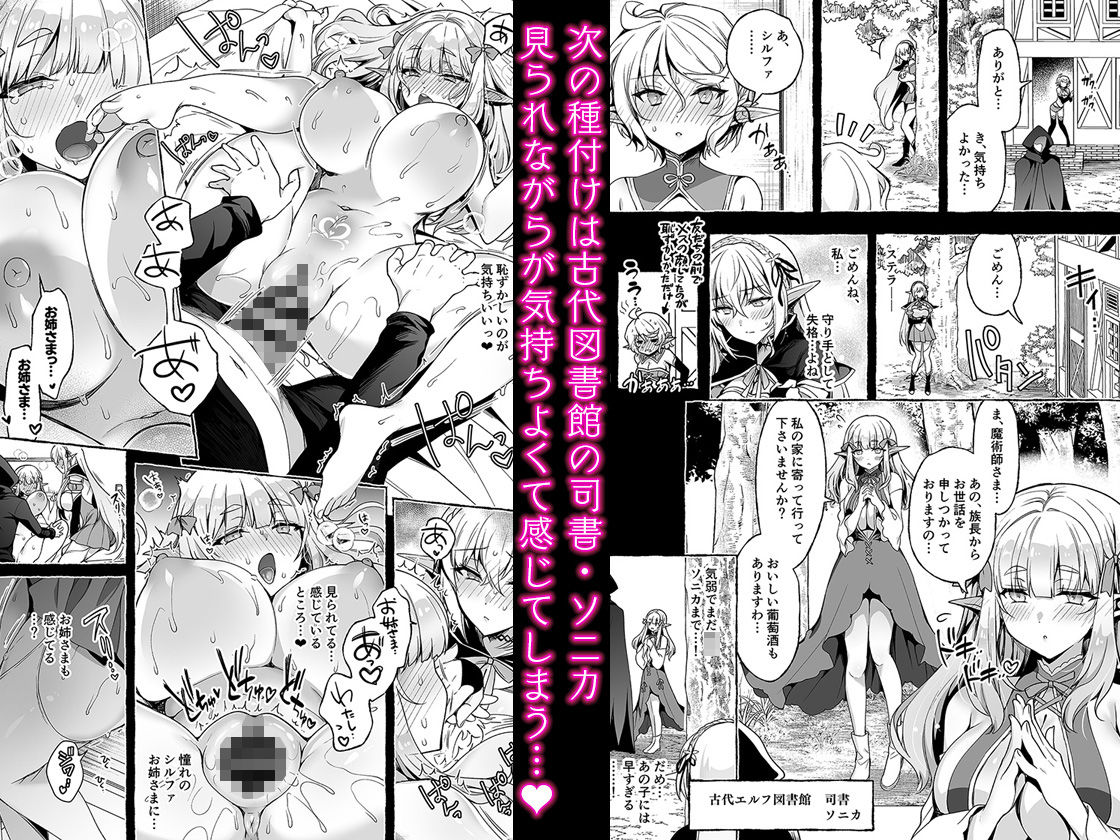 淫紋魔術師のエルフハーレム 画像 3