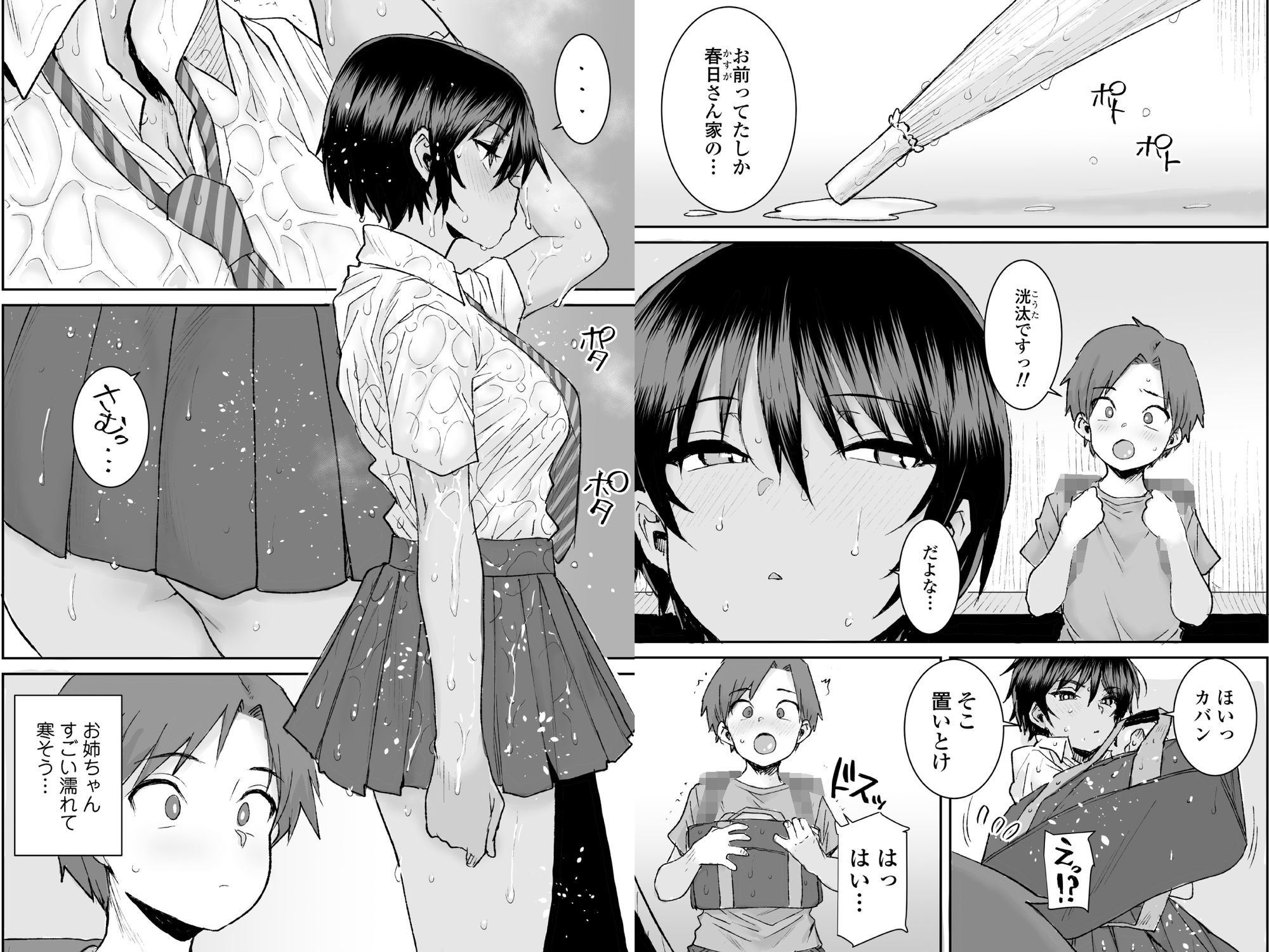 無口で気の強いボーイッシュなお姉ちゃんで僕は童貞を卒業しました 画像 5