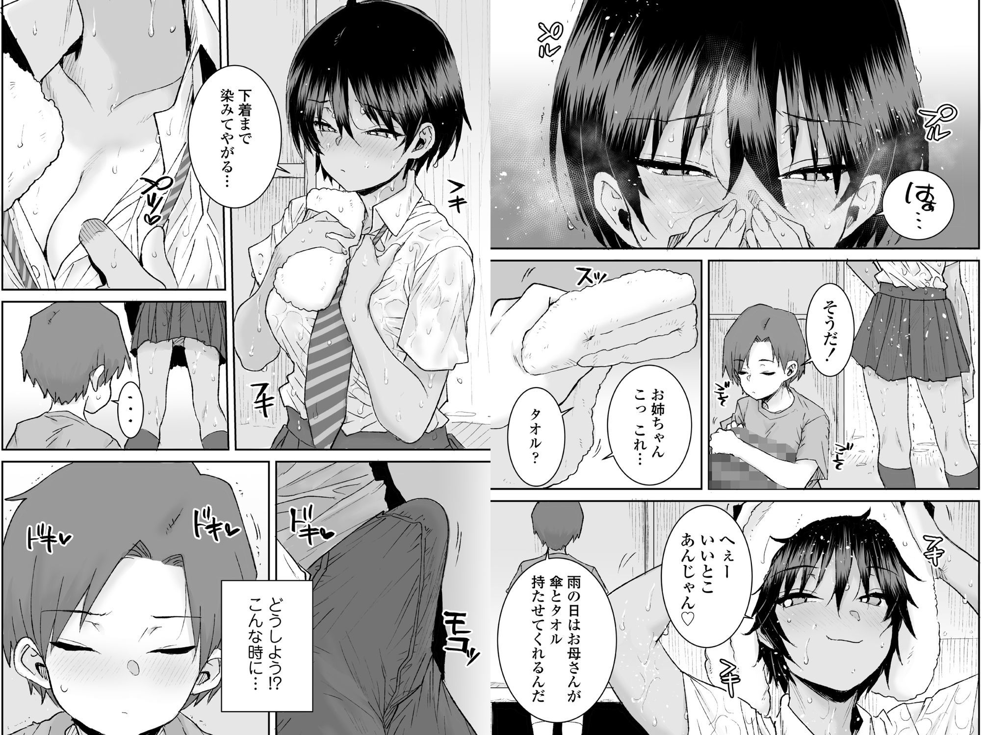無口で気の強いボーイッシュなお姉ちゃんで僕は童貞を卒業しました 画像 6